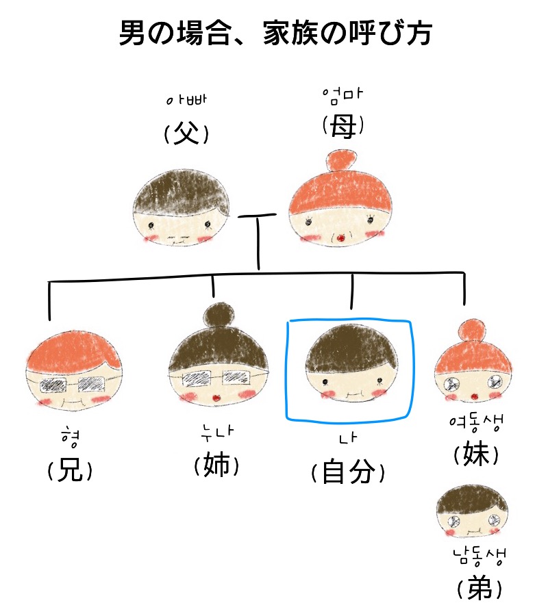 無料講座 韓国語の 父 母 兄 姉 妹 弟 などの呼び方とは